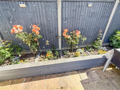 Picture 22